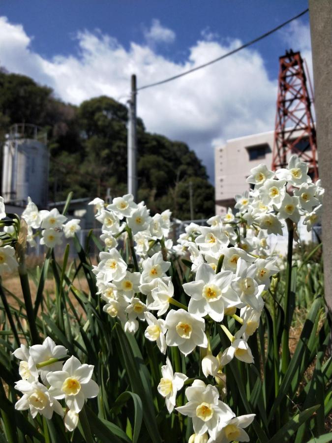 Izu Shirada Villa 伊豆白田家 Higashiizu Bagian luar foto